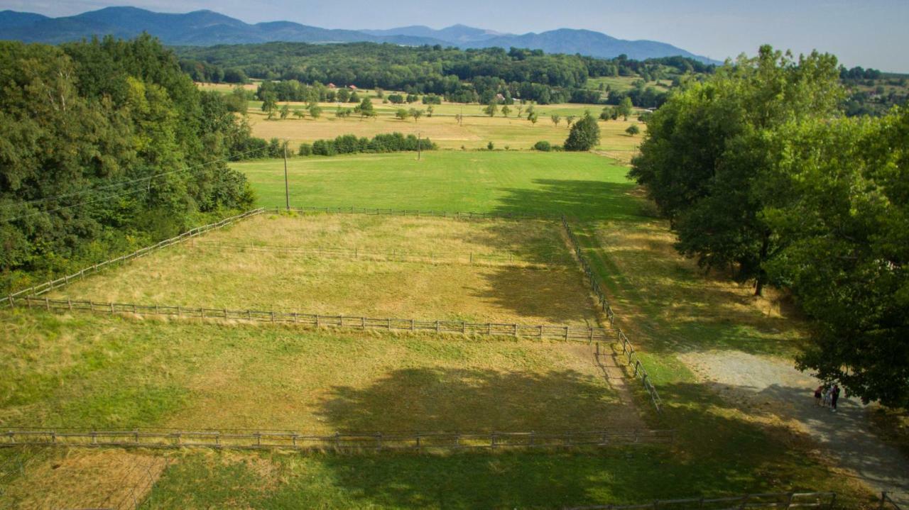 Oscar'S Home Soppe-le-Bas Zewnętrze zdjęcie