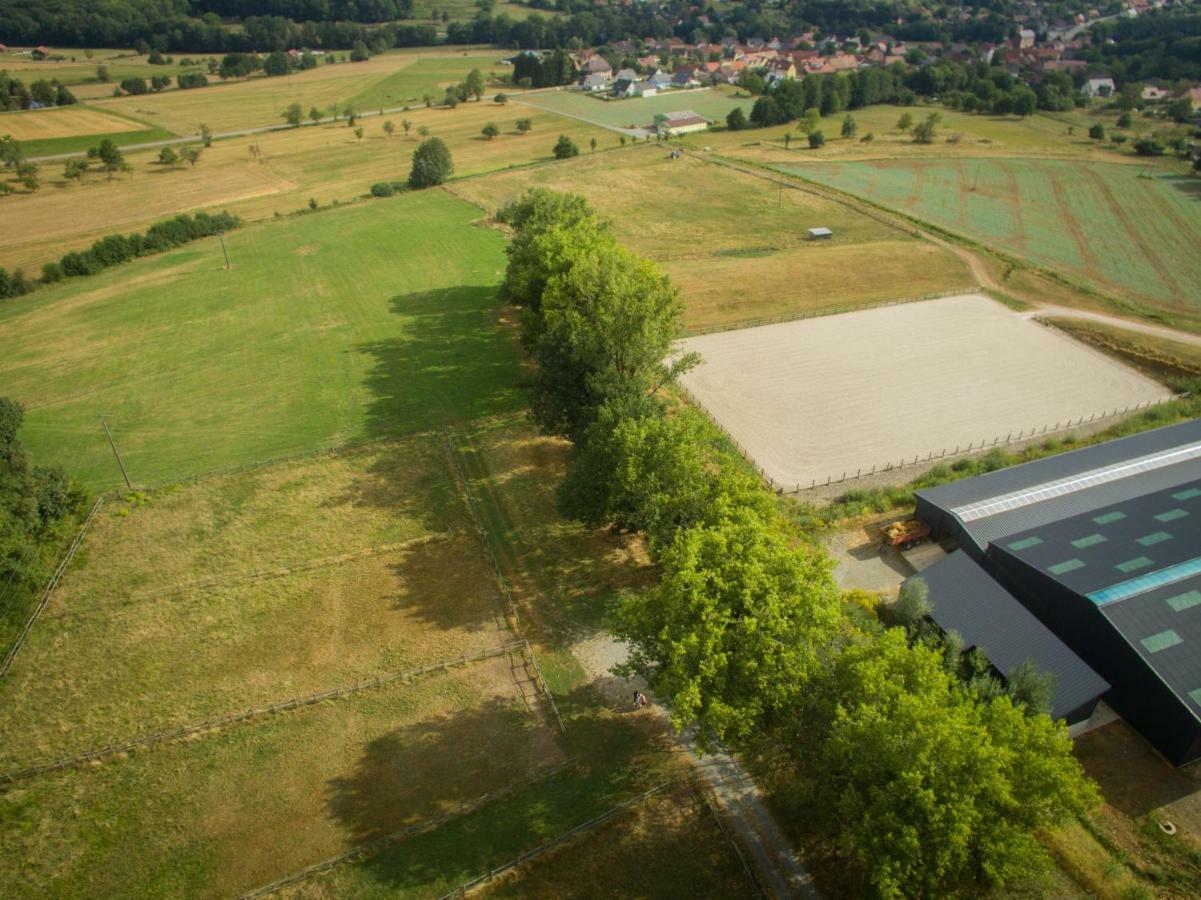 Oscar'S Home Soppe-le-Bas Zewnętrze zdjęcie